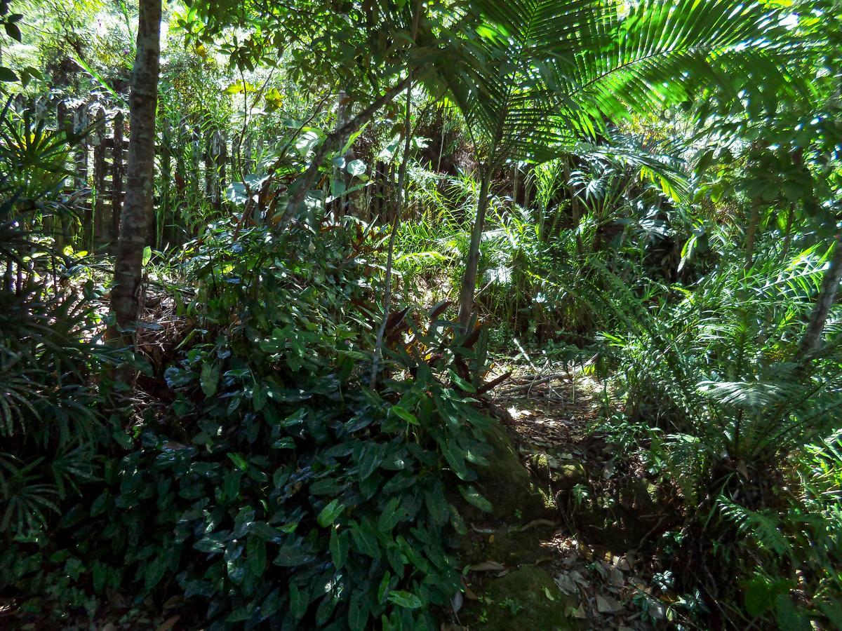 Laguna Guaruja Ngoại thất bức ảnh